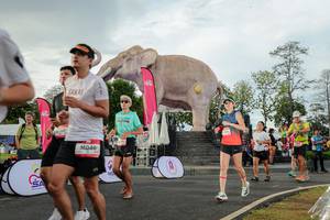 BIB: 
                            <button type="button" onclick="openModal(26528342)" class="btn btn-primary btn-sm float-right btn-popup" data-toggle="modal" data-target=".modal-high-quality">
                        <i class="fas fa-shopping-cart"></i> Add to Cart
                    </button>
                                            <button type="button" onclick="isThisMe(26528342, true)" class="btn btn-success btn-sm float-right btn-popup btn-isme hidden" data-toggle="tooltip" data-placement="bottom" title="นี่คือรูปของคุณใช่ไหม คลิกที่นี่เพื่อเอาเข้าอัลบั้ม">
                        <i class="fas fa-plus"></i> Add to album
                    </button>
                    <button type="button" onclick="isThisMe(26528342, false)" class="btn btn-warning btn-sm float-right btn-popup btn-isnotme hidden">
                        <i class="fas fa-ban"></i> Remove from album
                    </button>